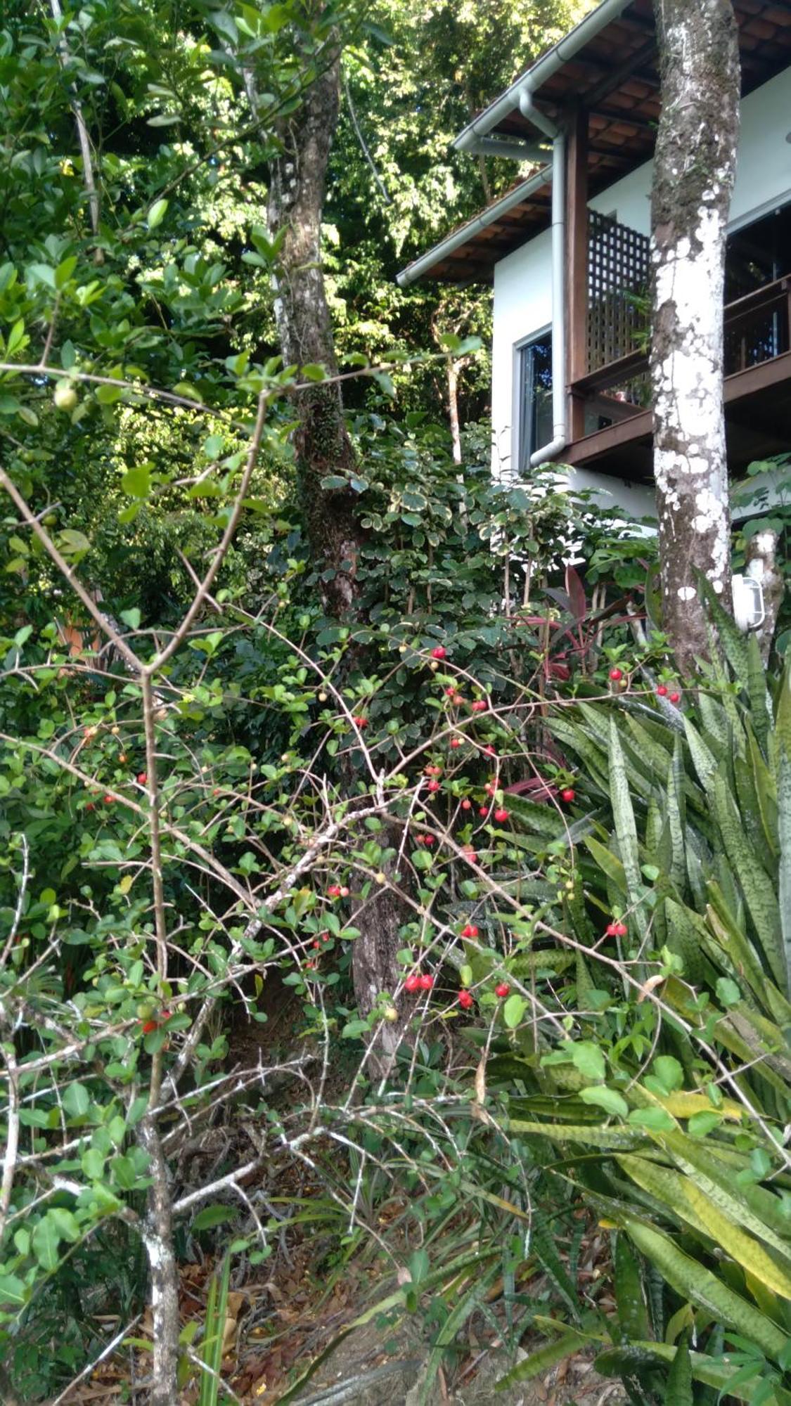 Casa Shuhari Villa มอร์โฮเจอเซาเปาลู ภายนอก รูปภาพ